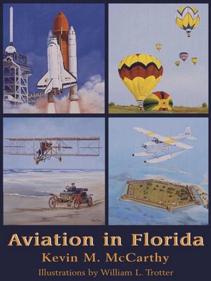 cover image of Aviation in Florida